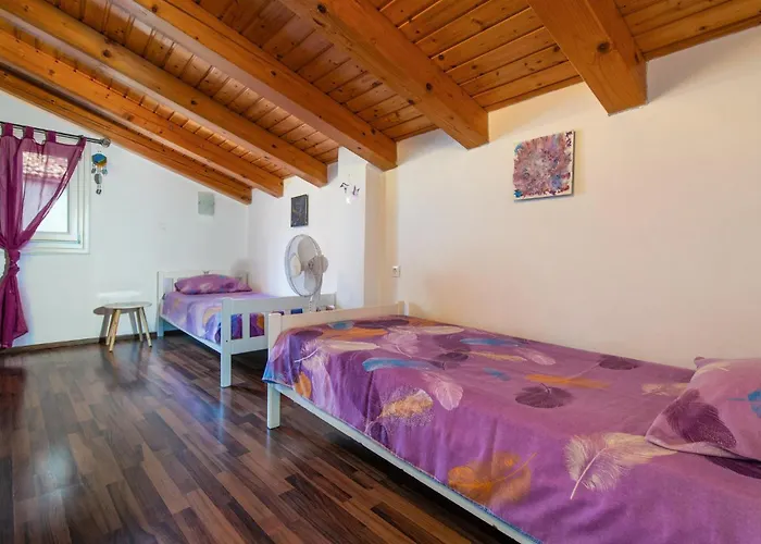 Cokuni Vi 펜션 크르니카